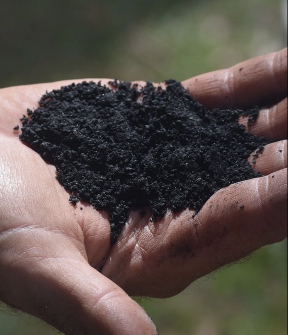 Open hands holding granular black biochar