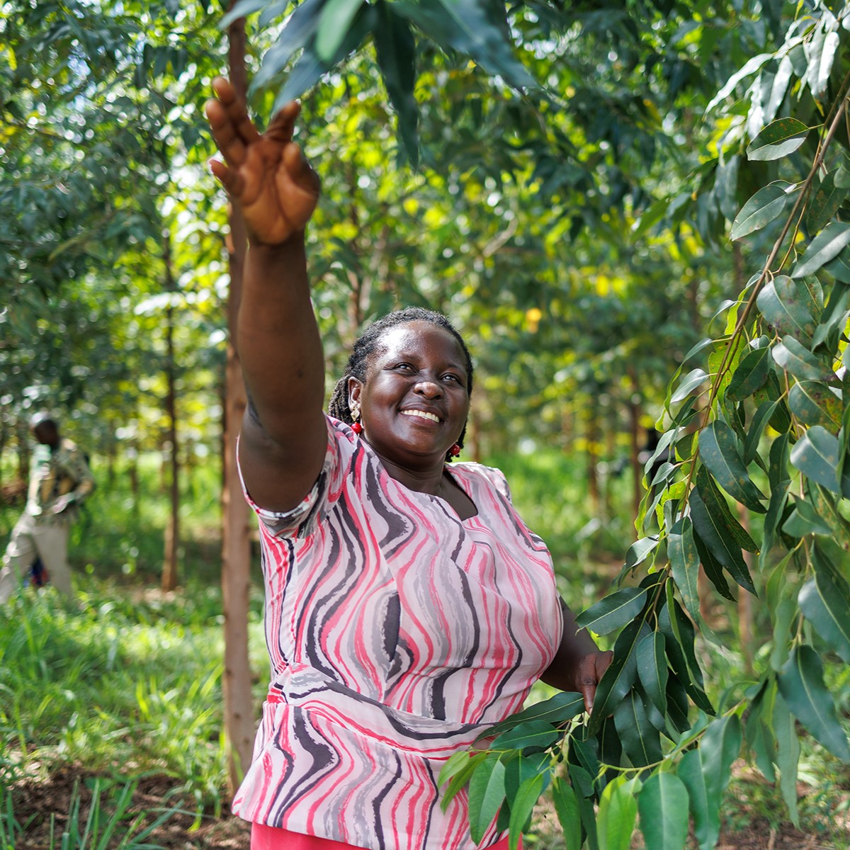 Community member Eva supported with seedlings and forest plantation training